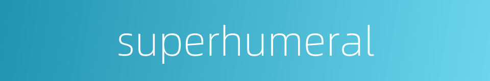 superhumeral的同义词