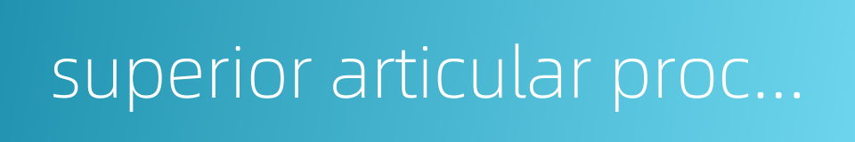 superior articular process的同义词