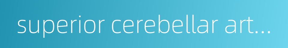 superior cerebellar artery的同义词