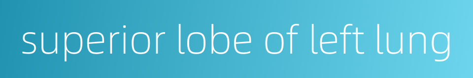 superior lobe of left lung的同义词