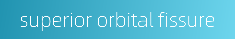 superior orbital fissure的同义词