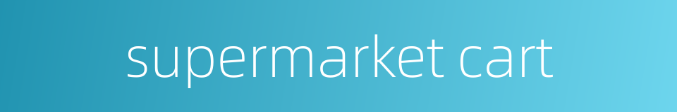 supermarket cart的同义词