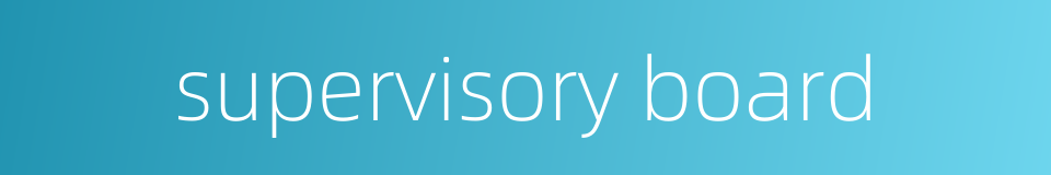 supervisory board的同义词