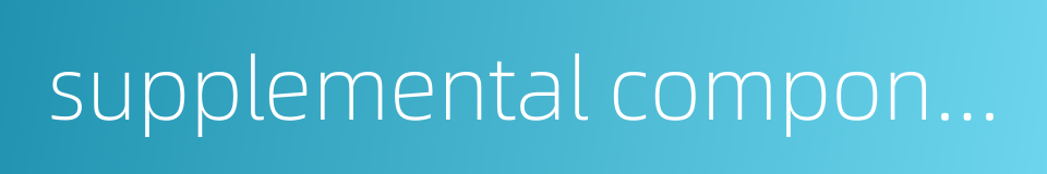 supplemental components的同义词