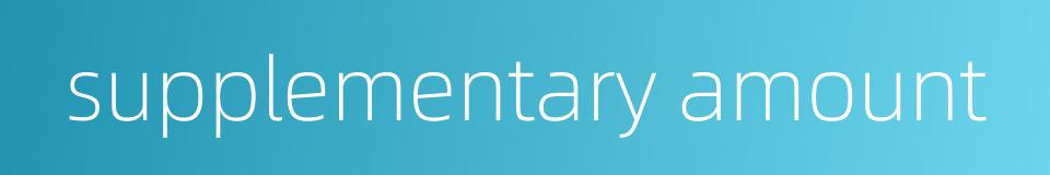 supplementary amount的同义词