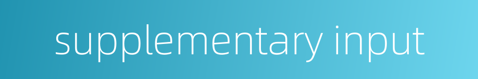 supplementary input的同义词