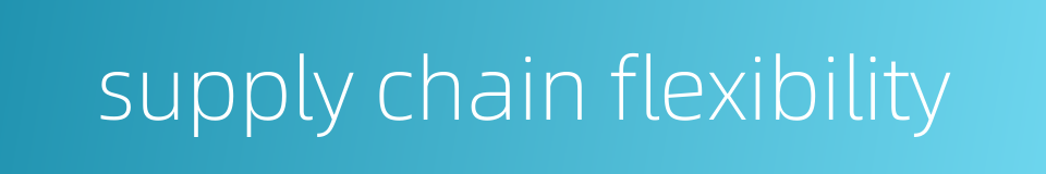 supply chain flexibility的同义词