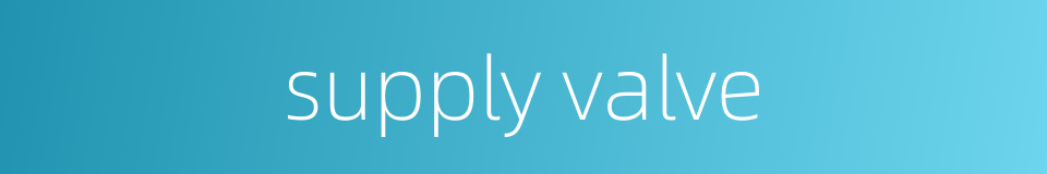 supply valve的同义词