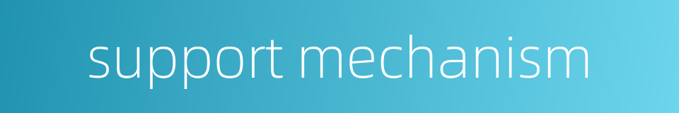 support mechanism的同义词