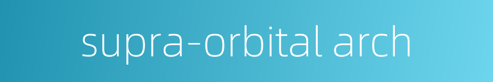 supra-orbital arch的同义词