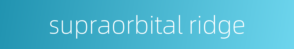 supraorbital ridge的同义词