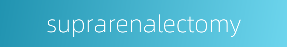 suprarenalectomy的同义词