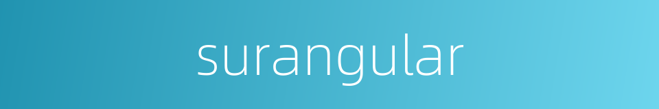 surangular的同义词