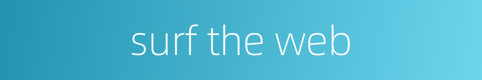 surf the web的同义词