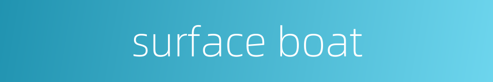 surface boat的同义词