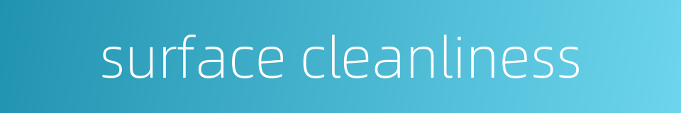 surface cleanliness的同义词