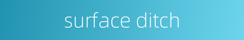 surface ditch的同义词