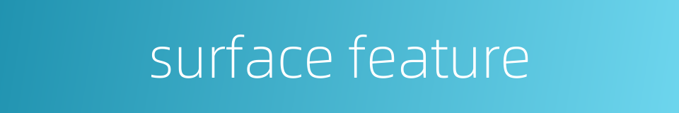 surface feature的同义词