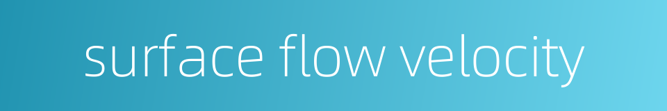surface flow velocity的同义词
