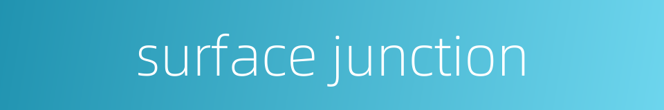 surface junction的同义词