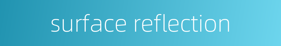 surface reflection的同义词
