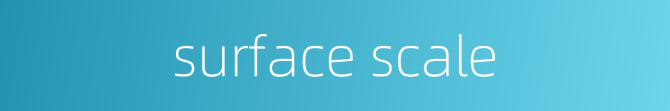 surface scale的同义词