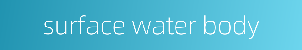 surface water body的同义词