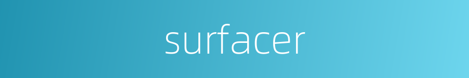 surfacer的同义词