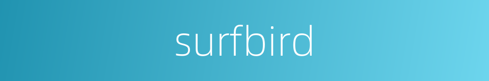 surfbird的同义词