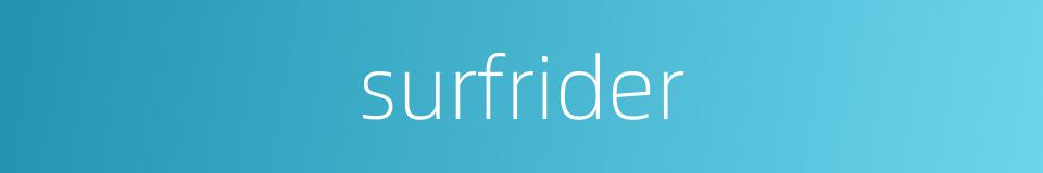 surfrider的同义词