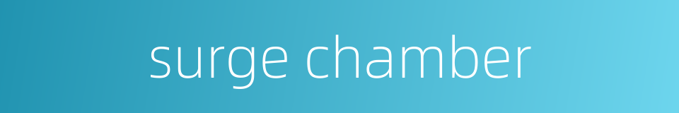 surge chamber的同义词