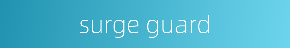 surge guard的同义词