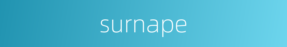 surnape的同义词