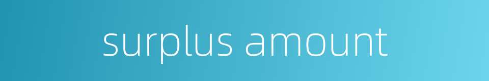 surplus amount的同义词