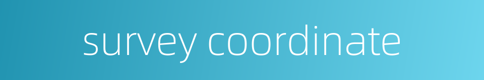 survey coordinate的同义词