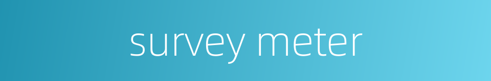 survey meter的同义词