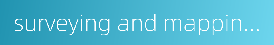 surveying and mapping industry的同义词