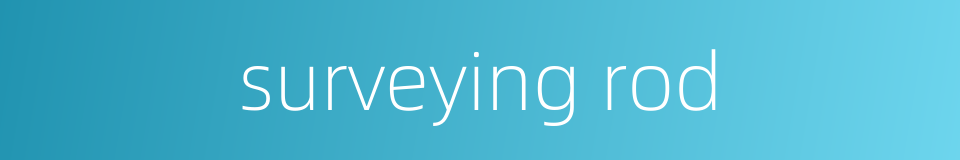 surveying rod的同义词
