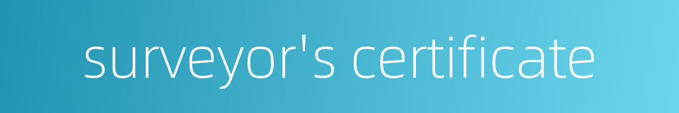 surveyor's certificate的同义词