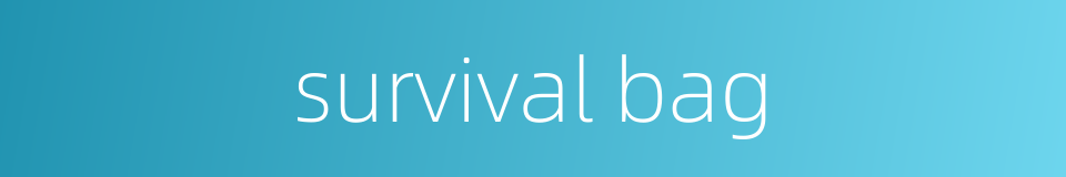 survival bag的同义词