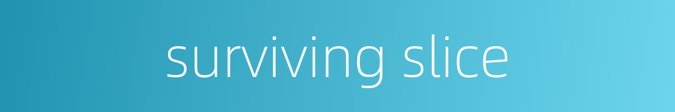 surviving slice的同义词