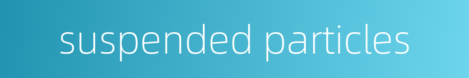 suspended particles的同义词