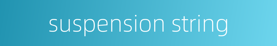 suspension string的同义词
