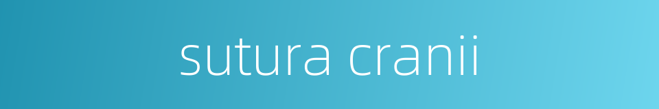 sutura cranii的同义词