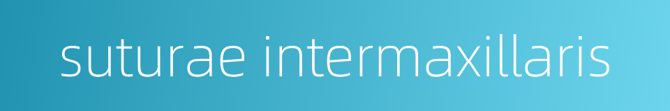suturae intermaxillaris的同义词