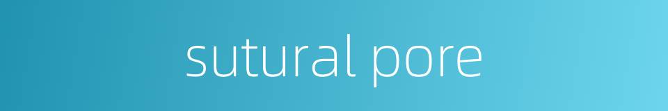 sutural pore的同义词