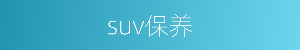 suv保养的同义词