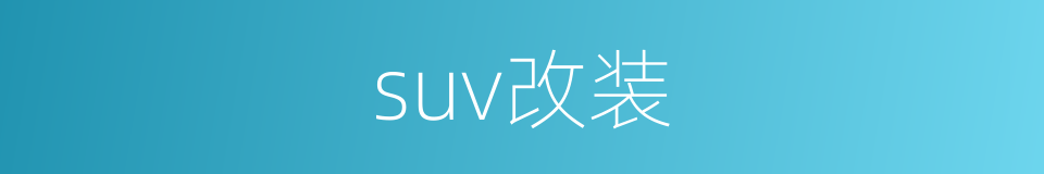 suv改装的同义词