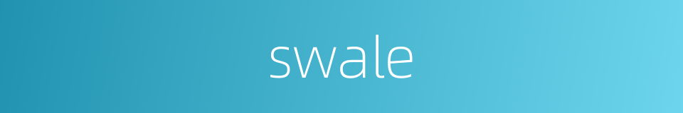 swale的同义词