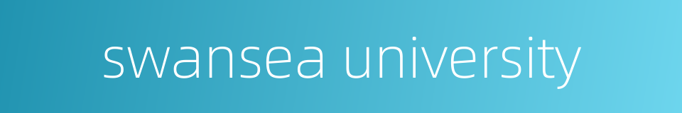 swansea university的同义词